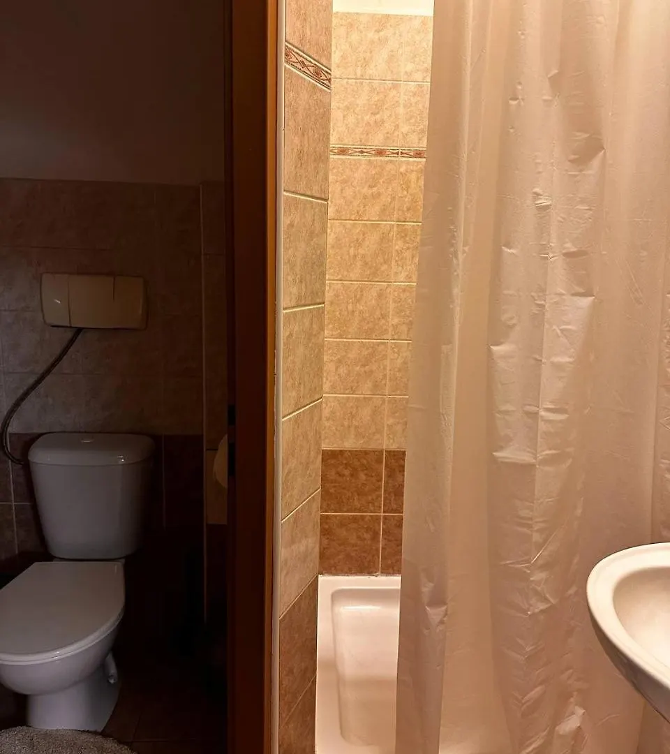 Vlnena Apartmans Μπρνο Διαμέρισμα